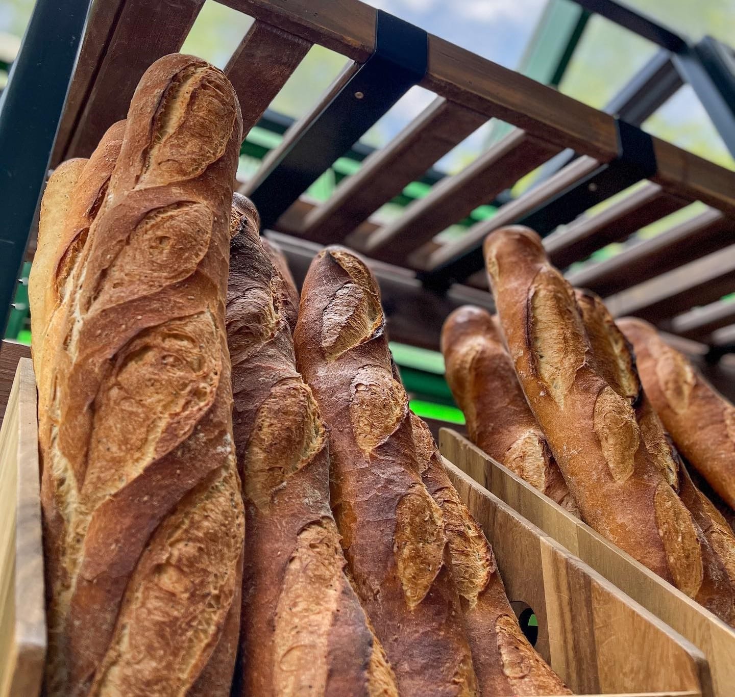 Rows of freshly baked artisan baguettes